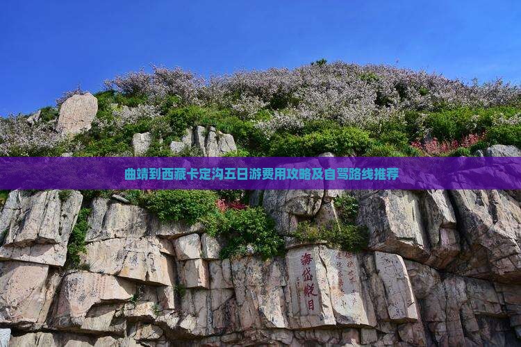 曲靖到西藏卡定沟五日游