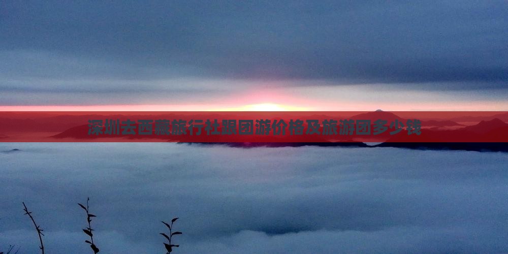 深圳去西藏旅行社