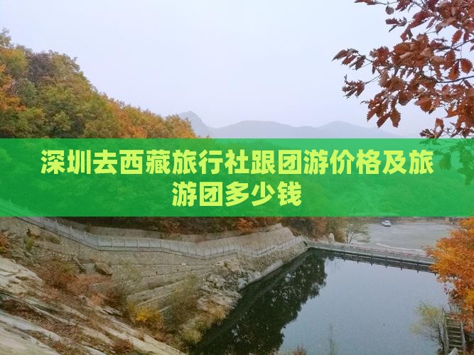 深圳去西藏旅行社