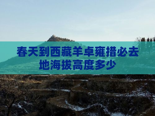 春天到西藏羊卓雍措必去地