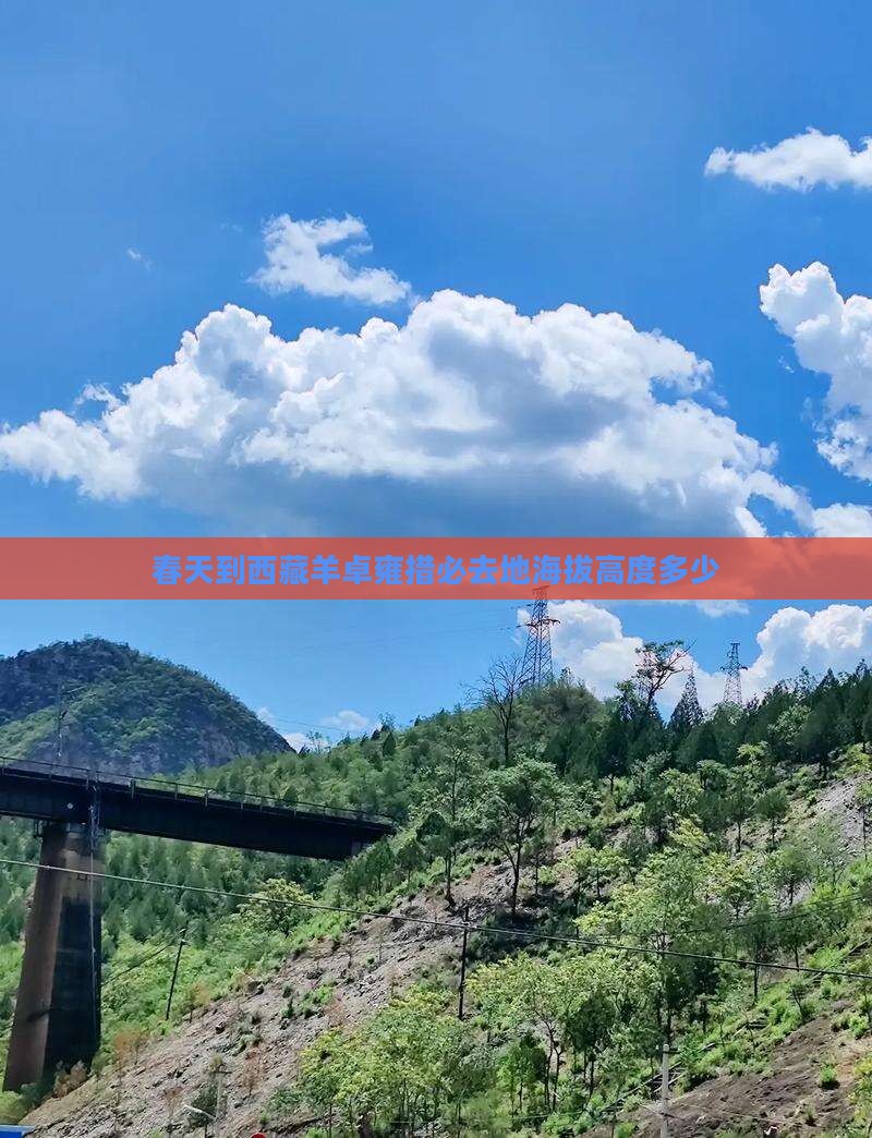 春天到西藏羊卓雍措必去地