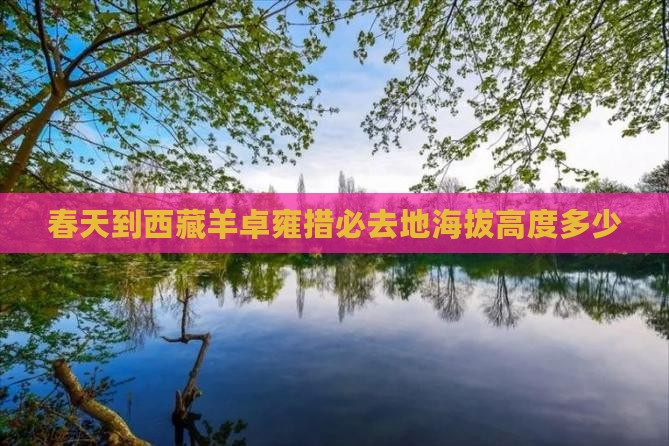 春天到西藏羊卓雍措必去地