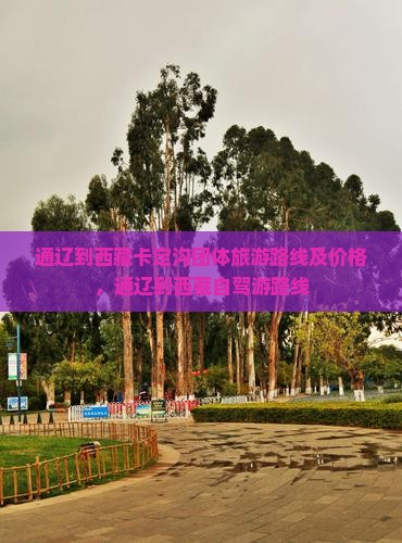 通辽到西藏卡定沟团体旅游