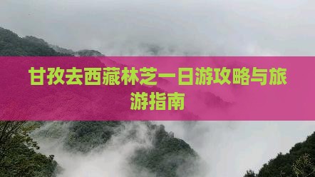 甘孜去西藏林芝一日
