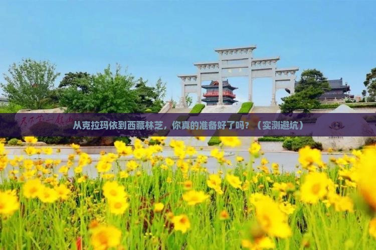 克拉玛依到西藏林芝攻略