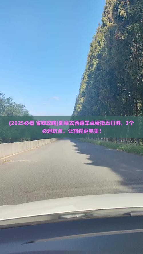 阳泉去西藏羊卓雍措五日游