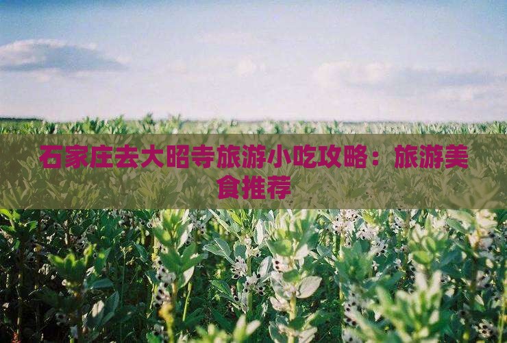 石家庄去西藏大昭寺旅游小吃