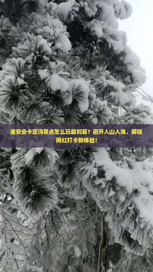 淮安去西藏卡定沟景点