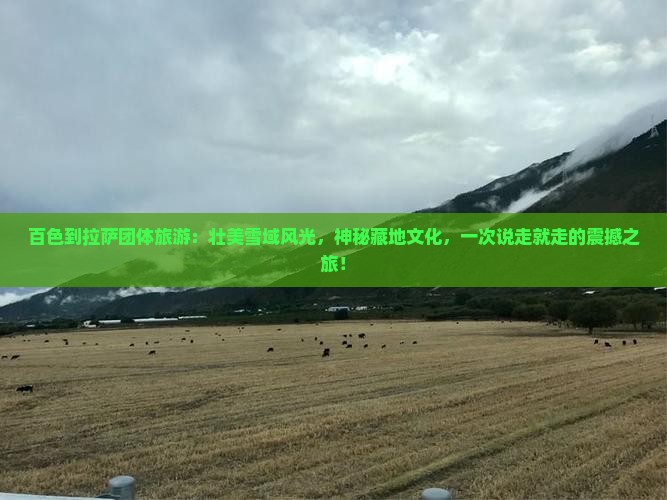 百色到西藏拉萨团体旅游