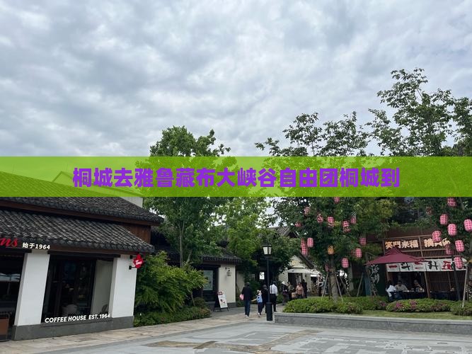 桐城去西藏雅鲁藏布大峡谷自由团