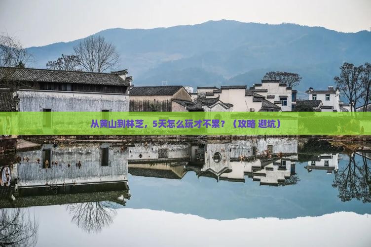 黄山去西藏林芝旅行社