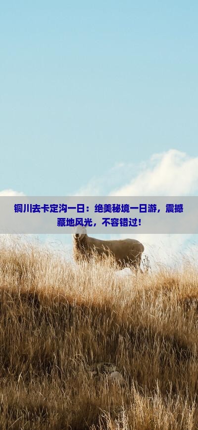 铜川去西藏卡定沟一日