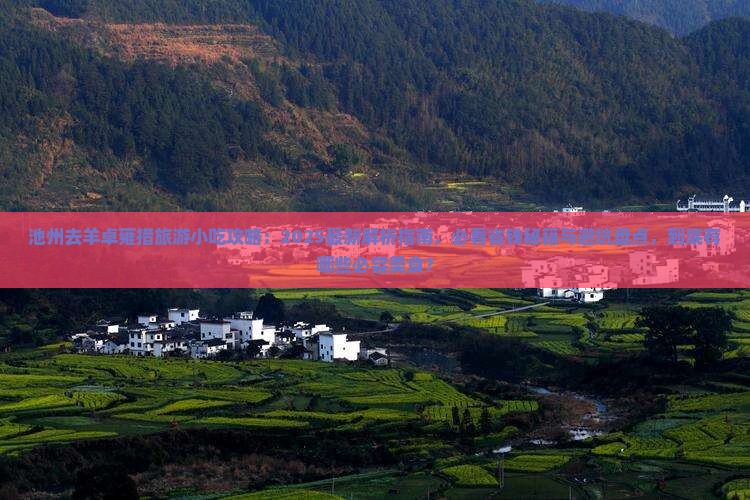 池州去西藏羊卓雍措旅游小吃