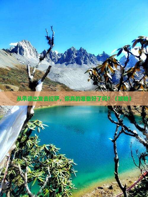 承德去西藏拉萨团体旅游