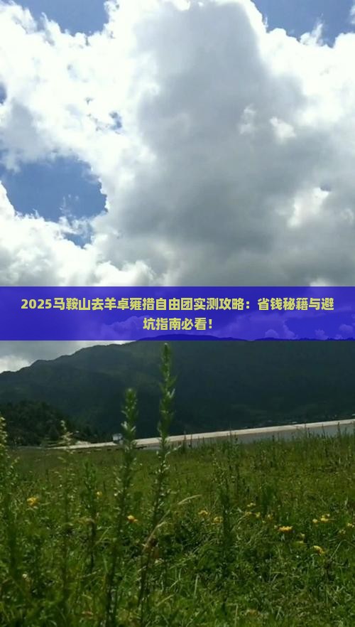 马鞍山去西藏羊卓雍措自由团