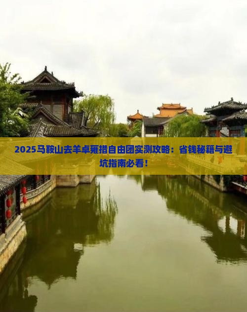 马鞍山去西藏羊卓雍措自由团