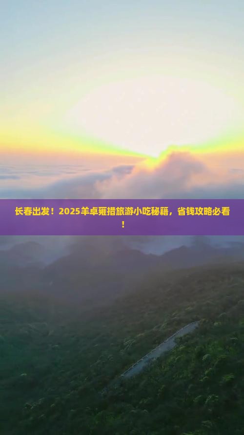 长春去西藏羊卓雍措旅游小吃
