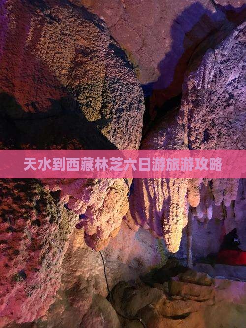 天水到西藏林芝六日游