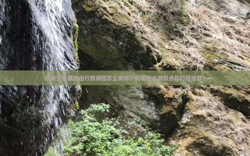 珠海到西藏自由团