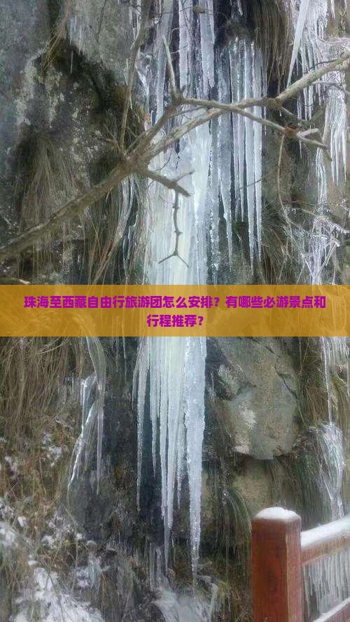 珠海到西藏自由团