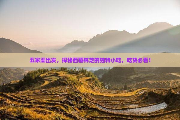 五家渠去西藏林芝旅游小吃