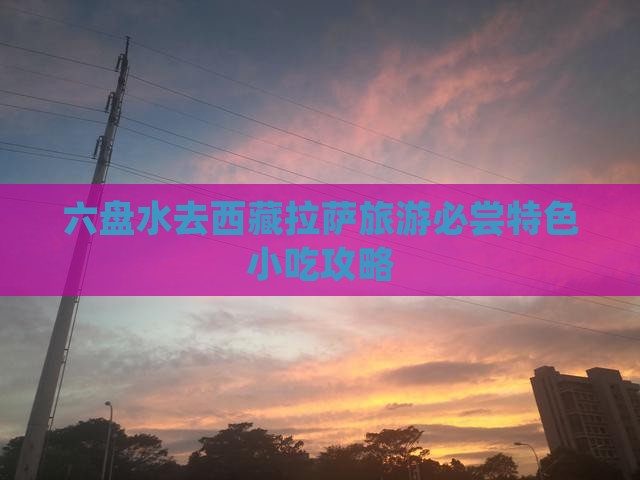 六盘水去西藏拉萨旅游小吃