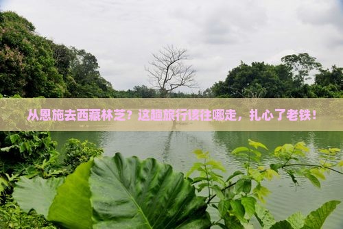 恩施到西藏林芝哪里玩