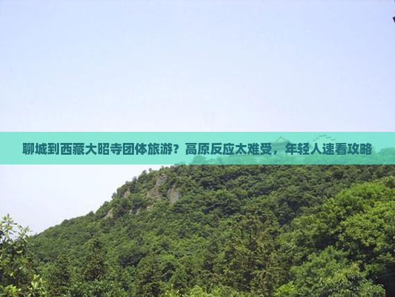 聊城到西藏大昭寺团体旅游