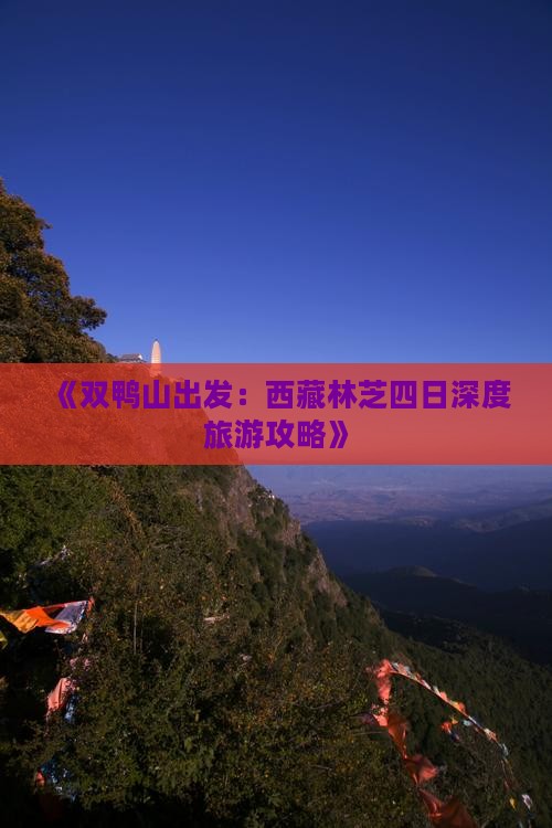 双鸭山到西藏林芝四日游