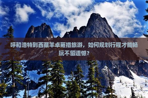 呼和浩特到西藏羊卓雍措哪里玩