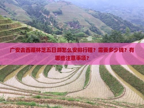 广安去西藏林芝五日游