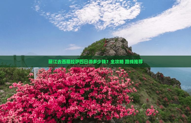丽江去西藏拉萨四日游