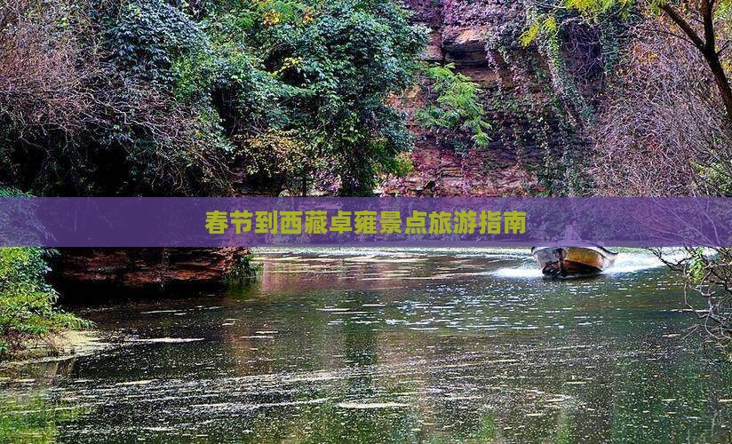 春节到西藏羊卓雍措自由行