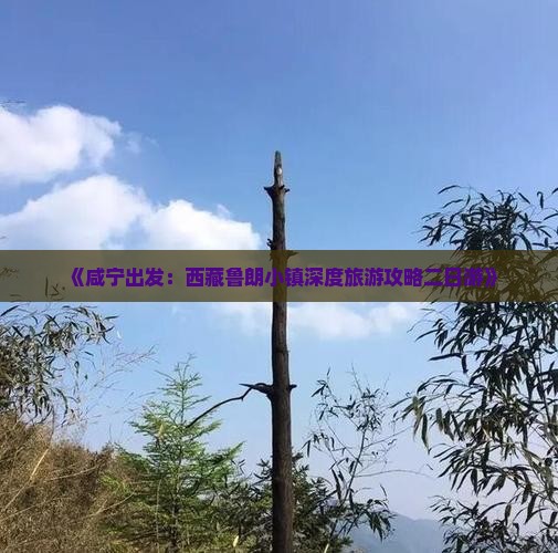 咸宁去西藏鲁朗小镇二日游