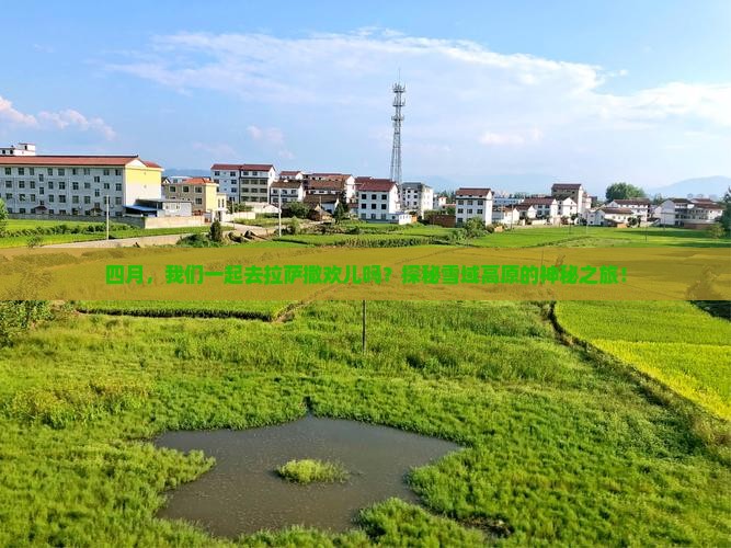 四月到西藏拉萨团体旅游