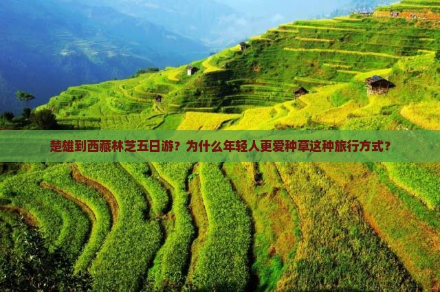 楚雄到西藏林芝五日游
