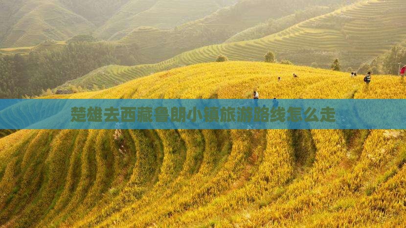 楚雄去西藏鲁朗小镇旅游