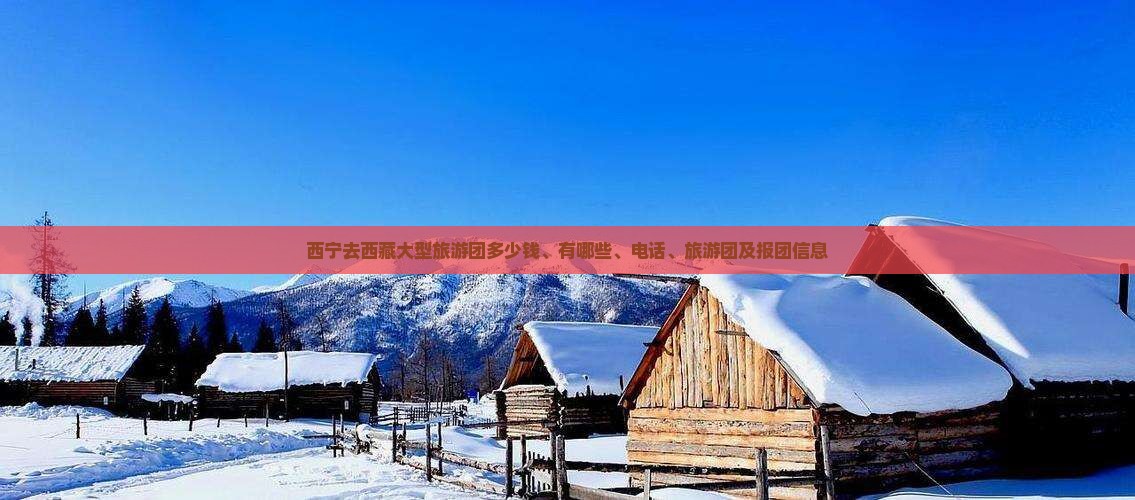 西宁去西藏大型旅游团