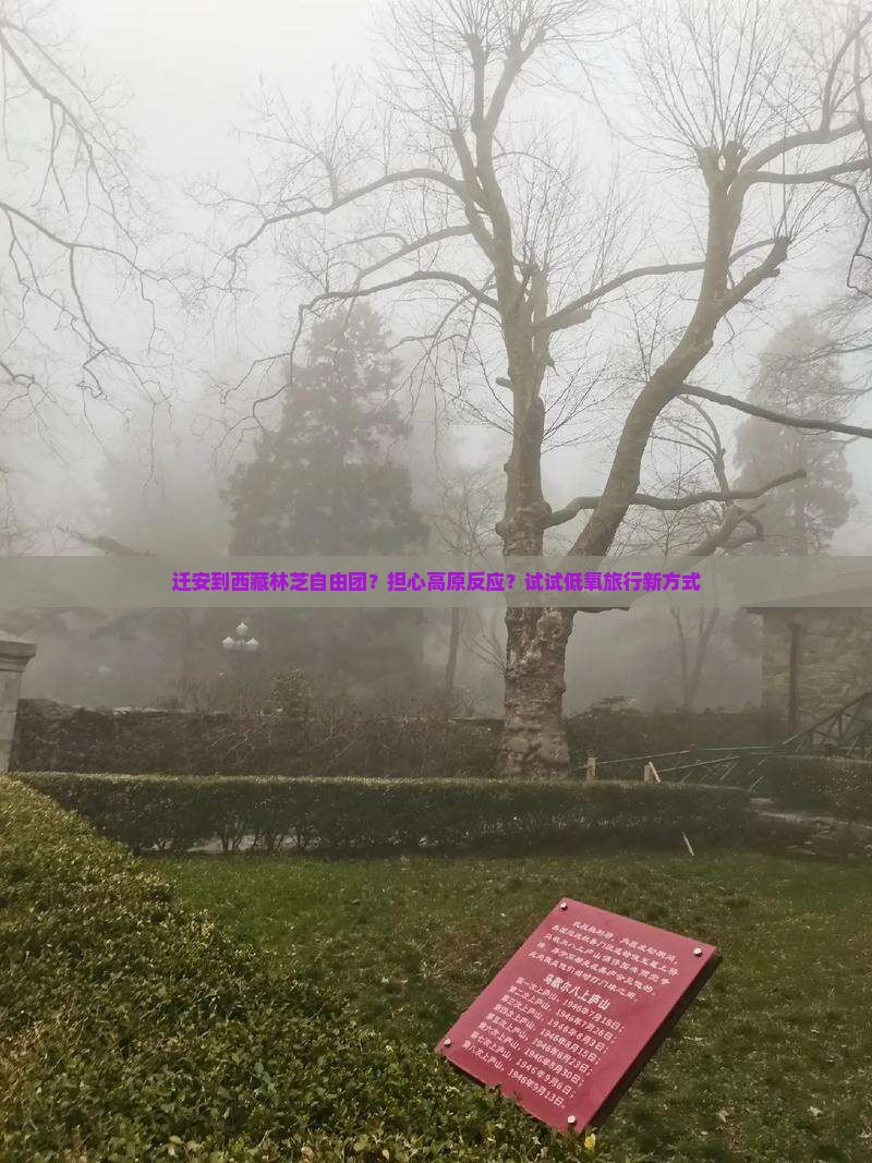 迁安到西藏林芝自由团