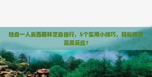 吉林到西藏林芝自由行