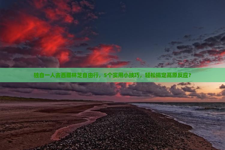 吉林到西藏林芝自由行