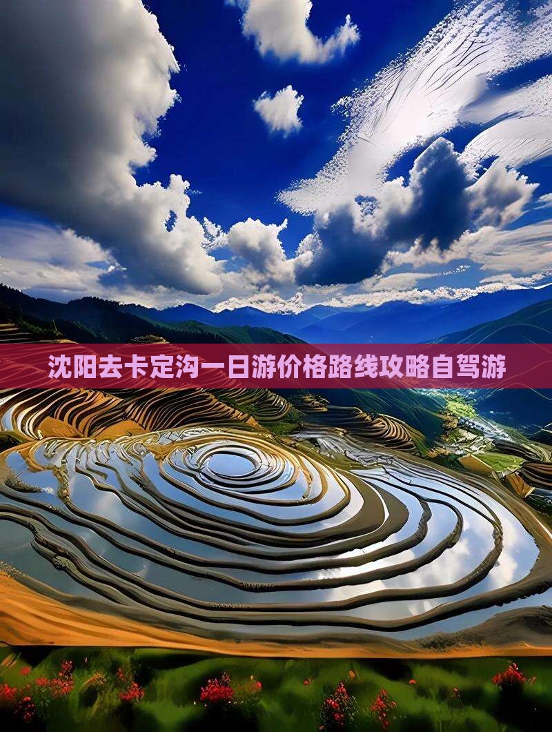 沈阳去西藏卡定沟一日