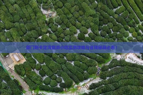 厦门到西藏卡定沟旅游小吃