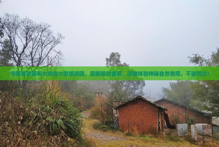 国庆节到西藏雅鲁藏布大峡谷大型旅游团