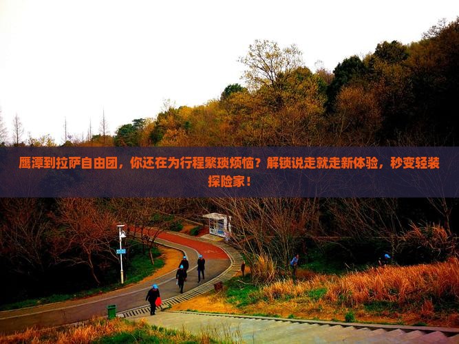 鹰潭到西藏拉萨自由团