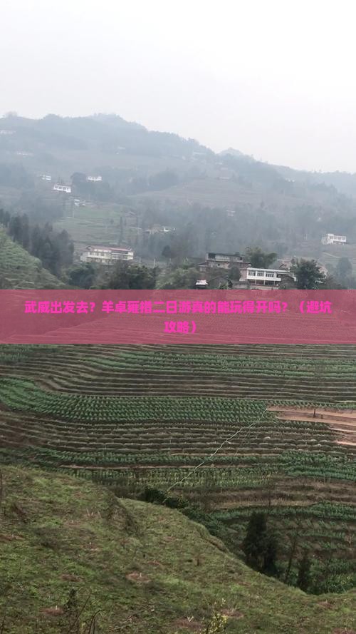 武威到西藏羊卓雍措二日游