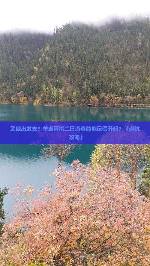 武威到西藏羊卓雍措二日游