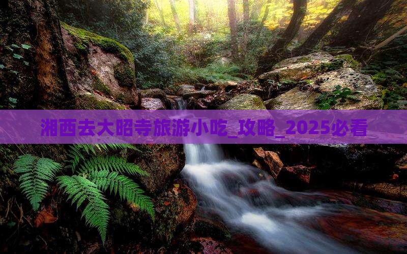 湘西去西藏大昭寺旅游小吃