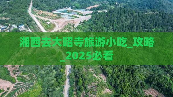 湘西去西藏大昭寺旅游小吃
