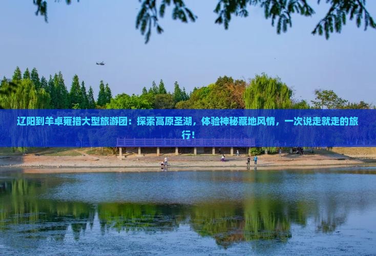 辽阳到西藏羊卓雍措大型旅游团
